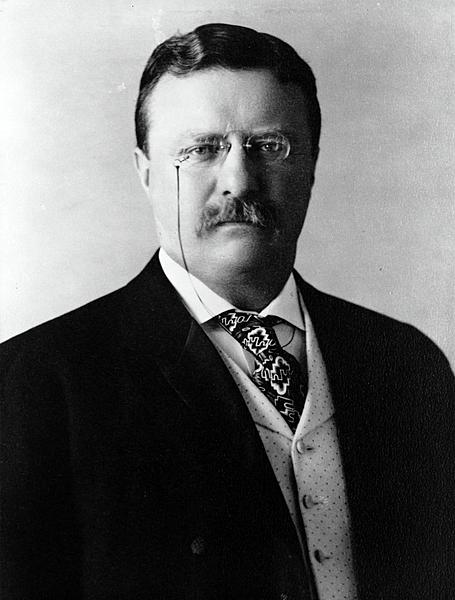 26-Theodore Roosevelt - 2008-05-30 21:48:06